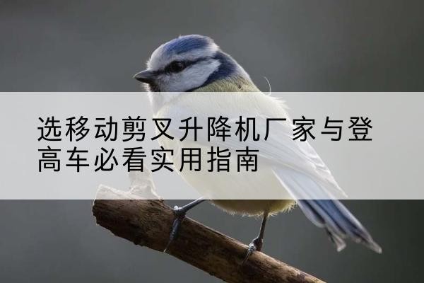 梅河口电动升降机厂家-选移动剪叉升降机厂家与登高车必看实用指南