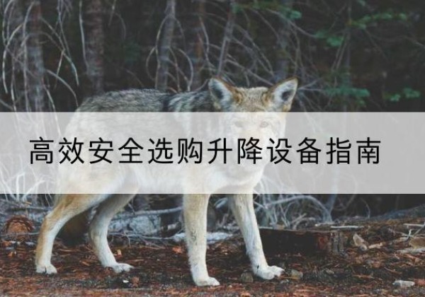 梅河口升降货梯厂家推荐-*安全选购升降设备指南